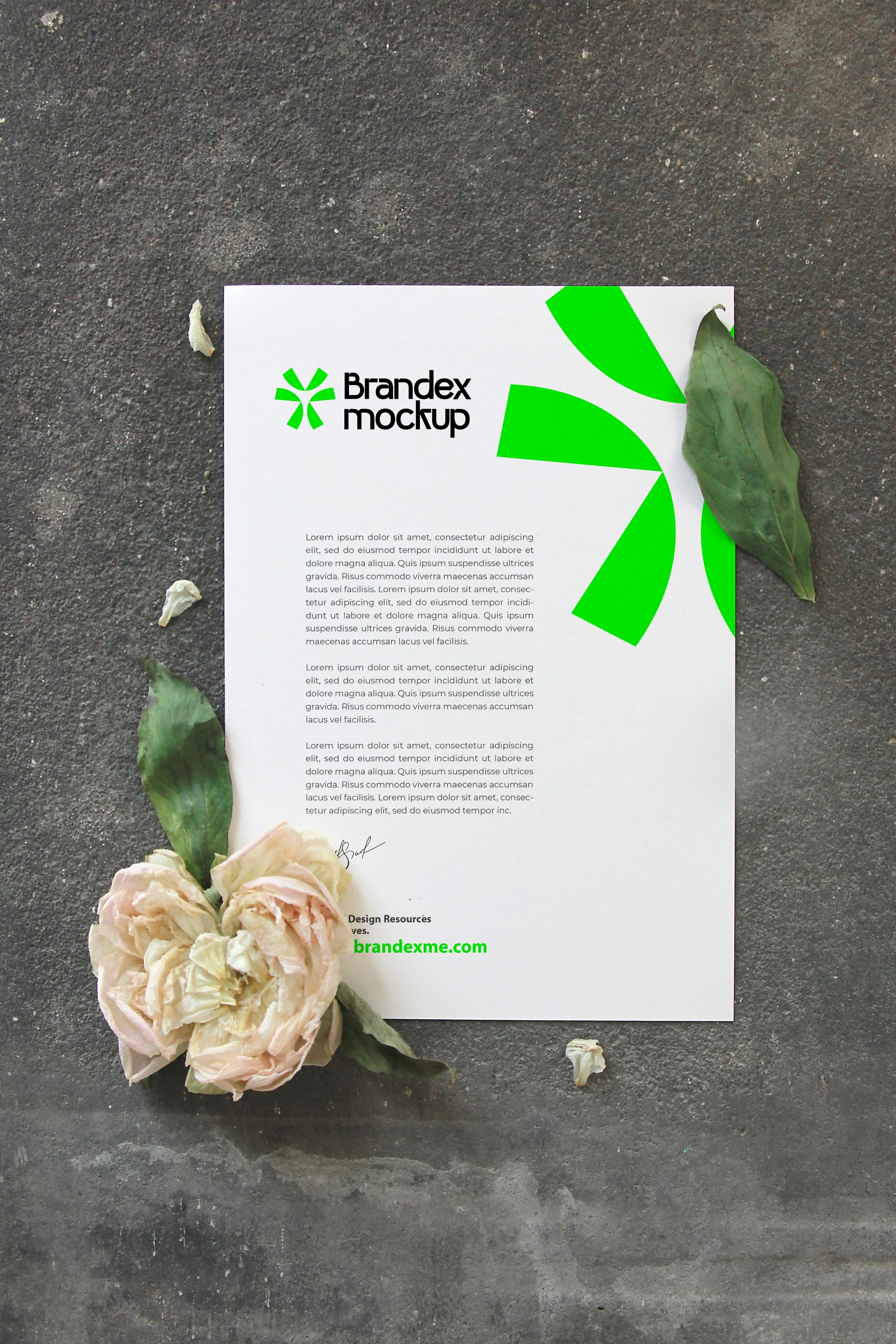Green floral letterhead mockup