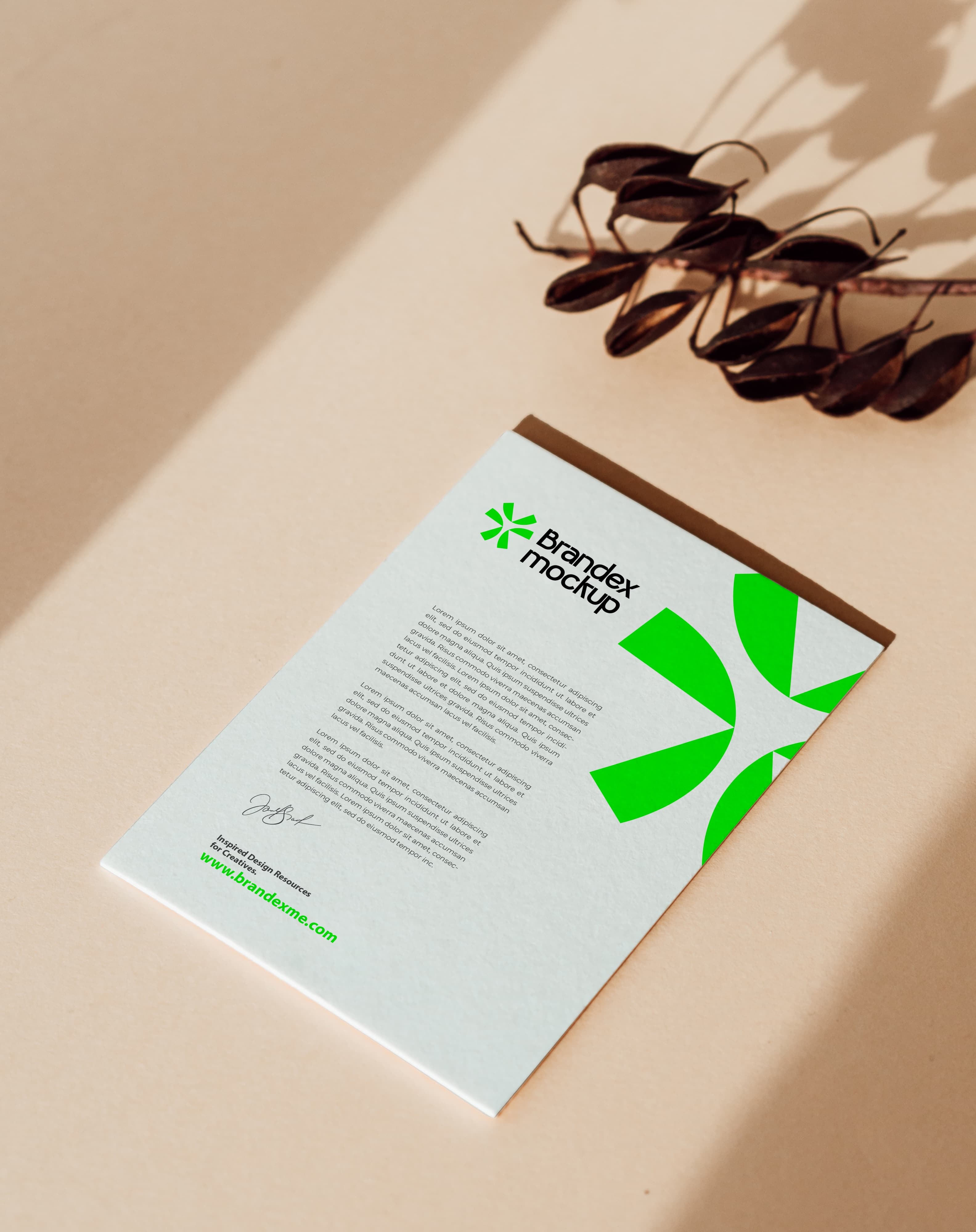 Modern letterhead with green accents mockup