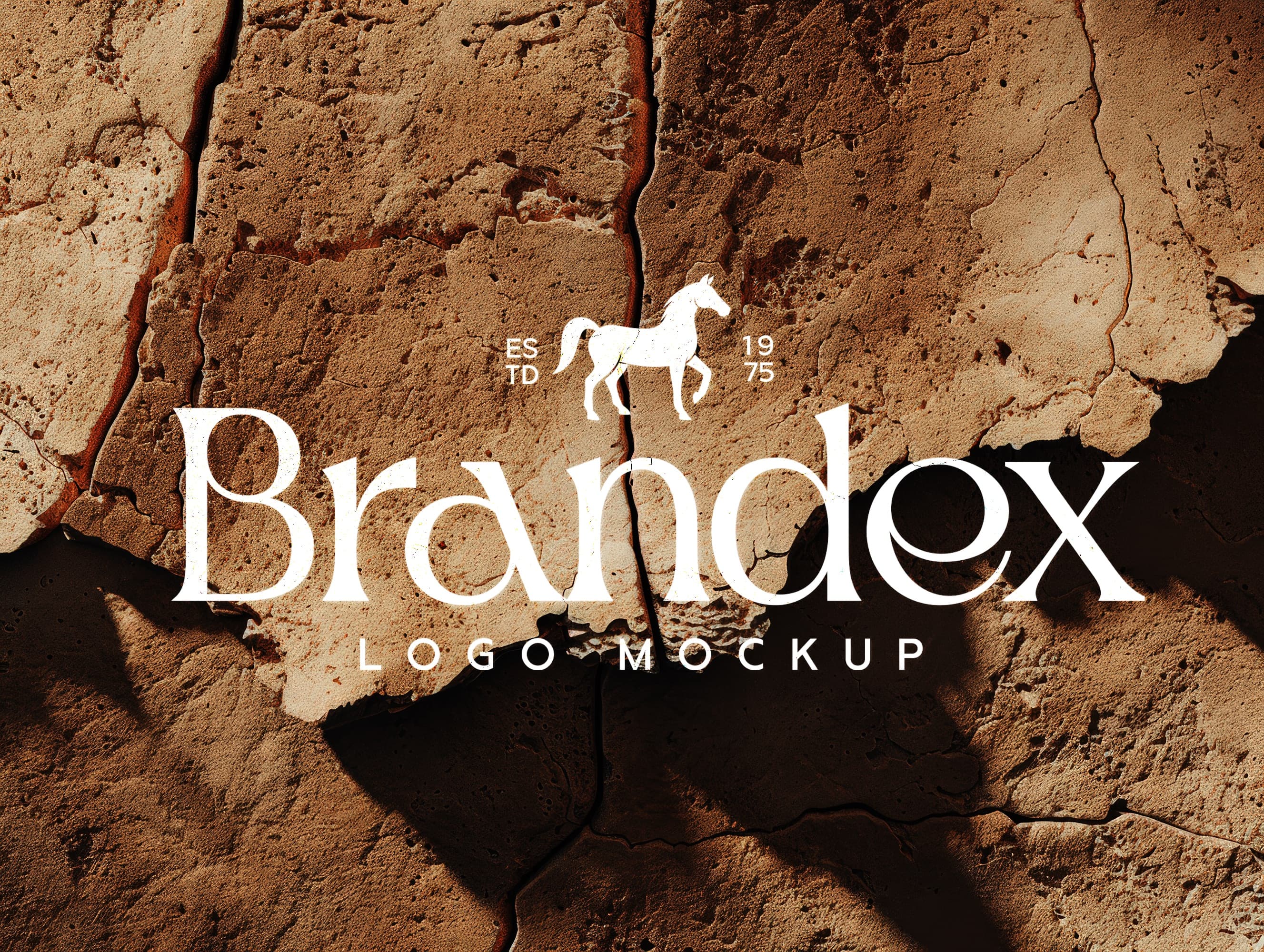Cracked earth logo mockup