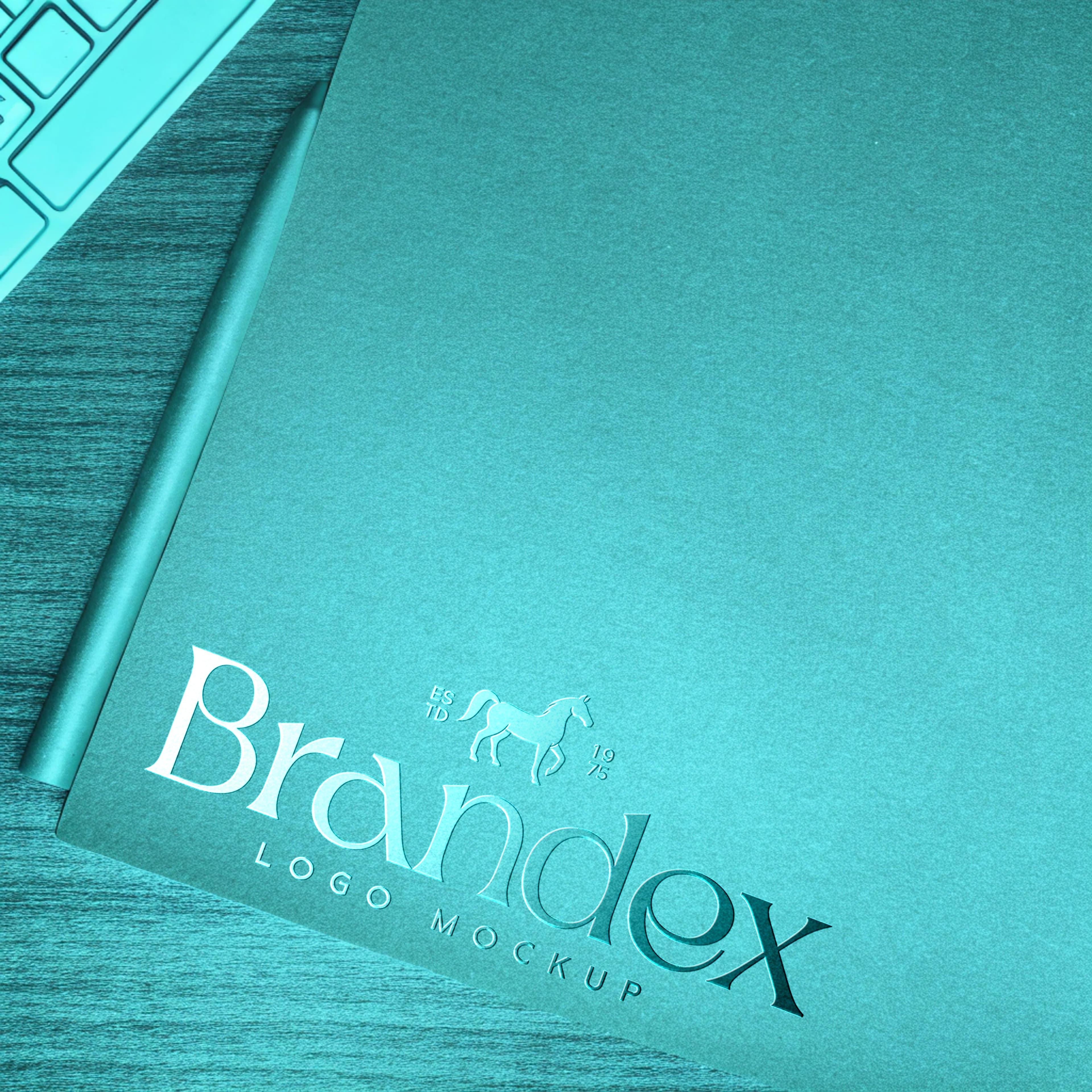 Aqua folder logo mockup