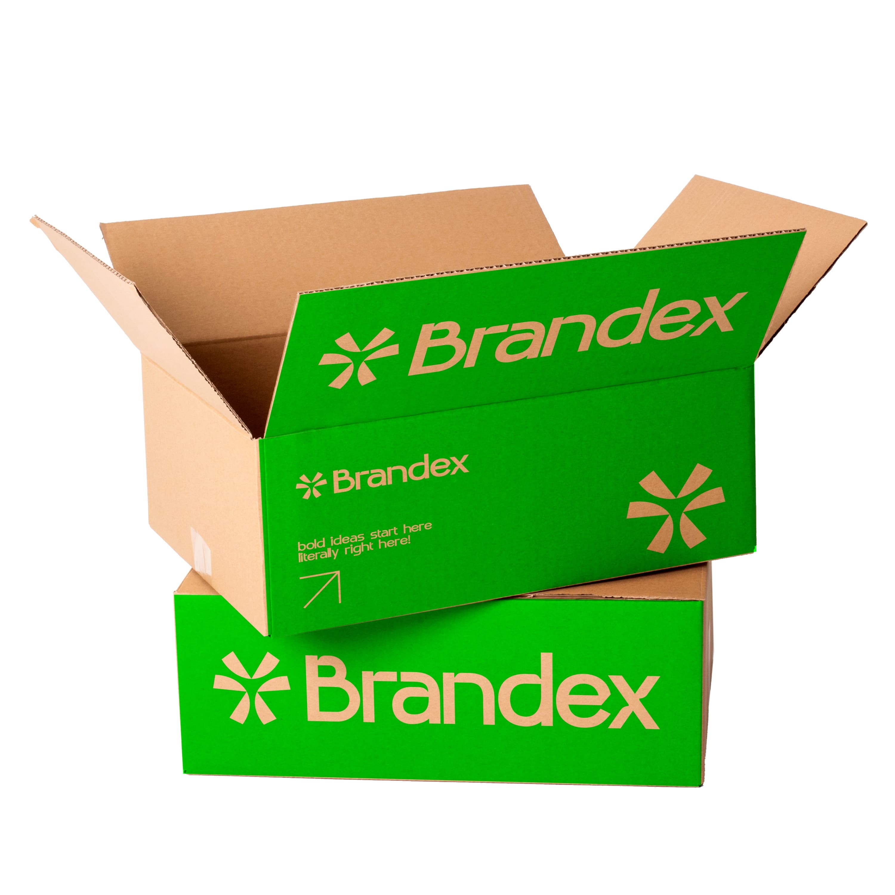 Green branded cardboard mockup