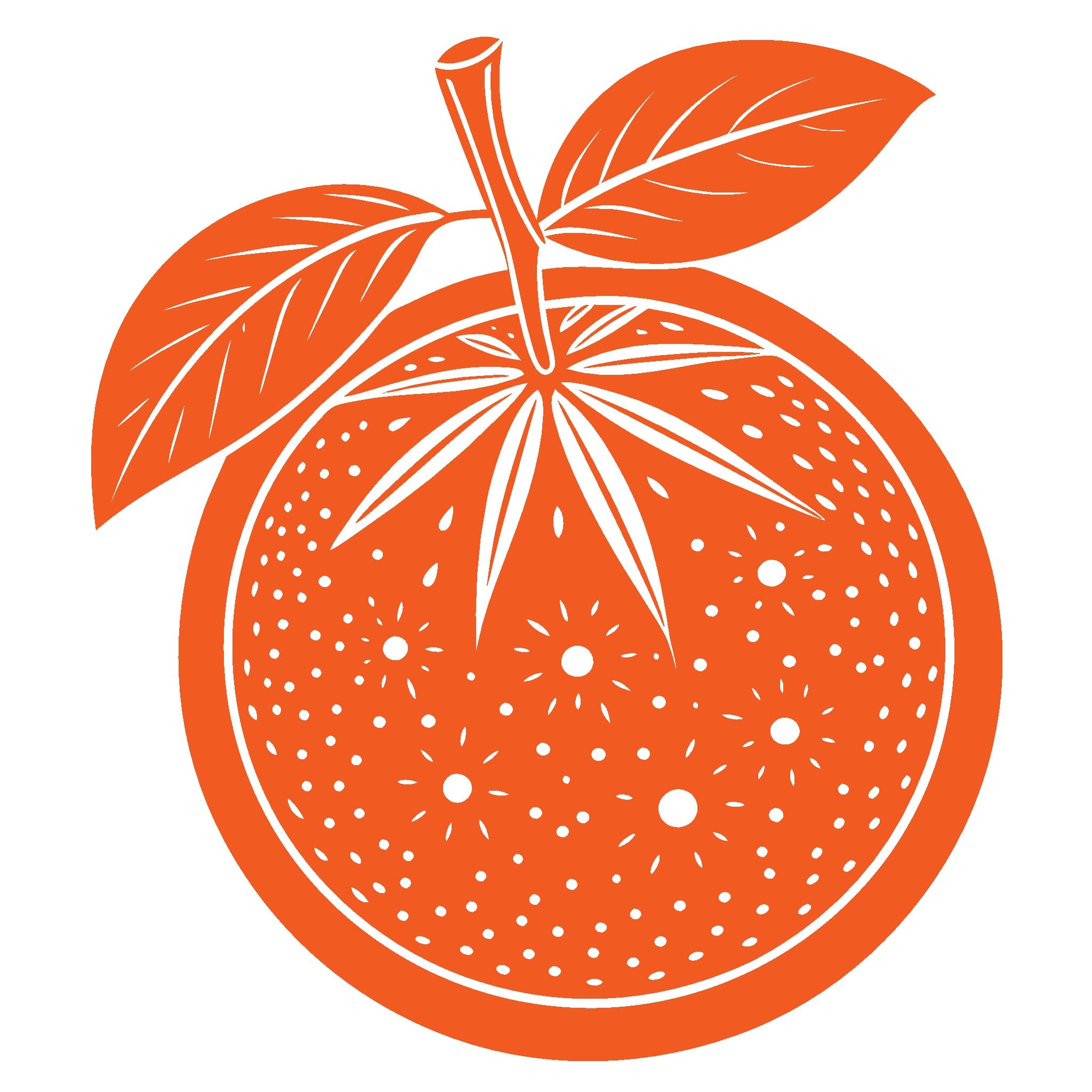 Orange Fruit Icon  8