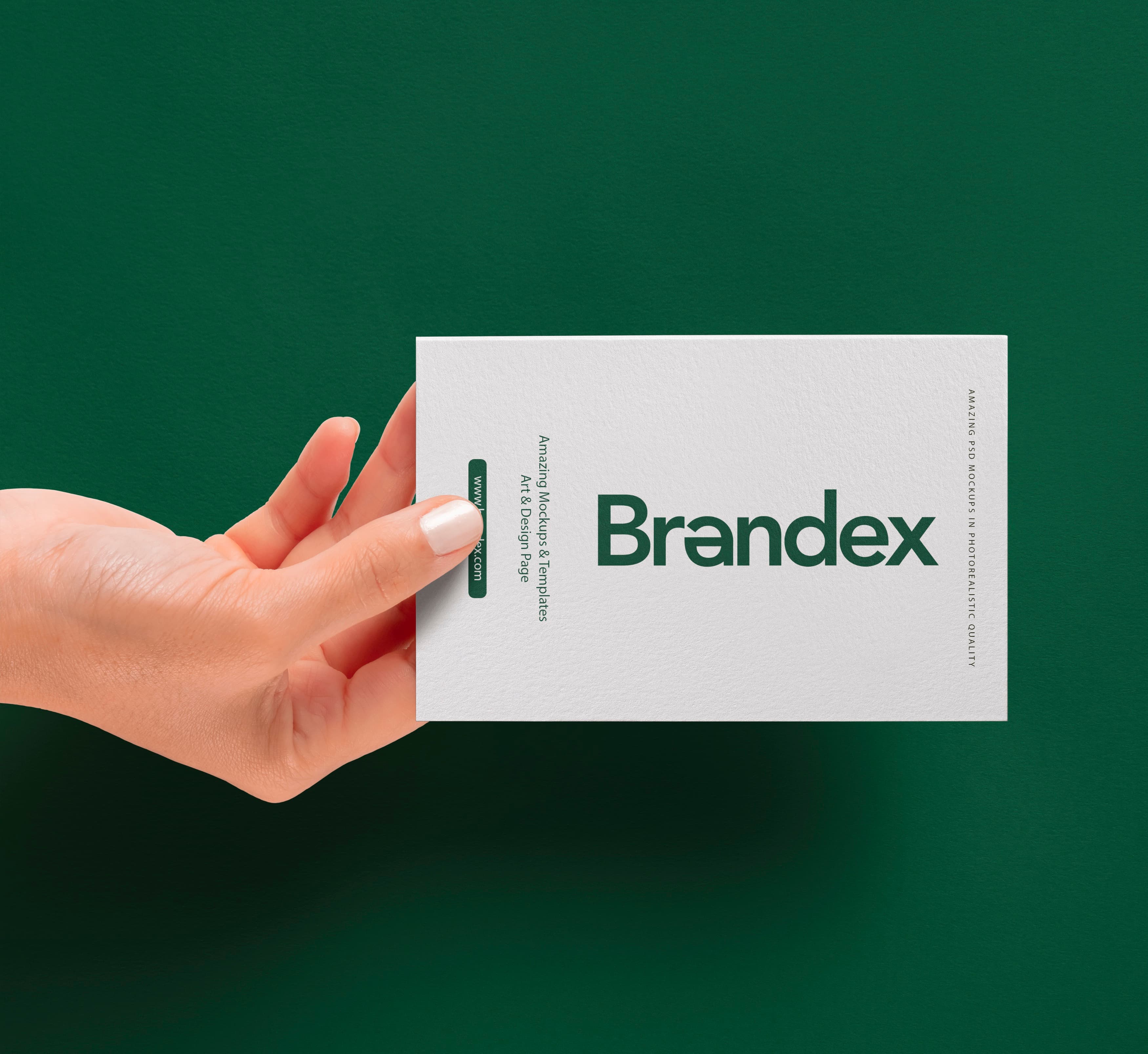 Professional Mockup Studio Card Template