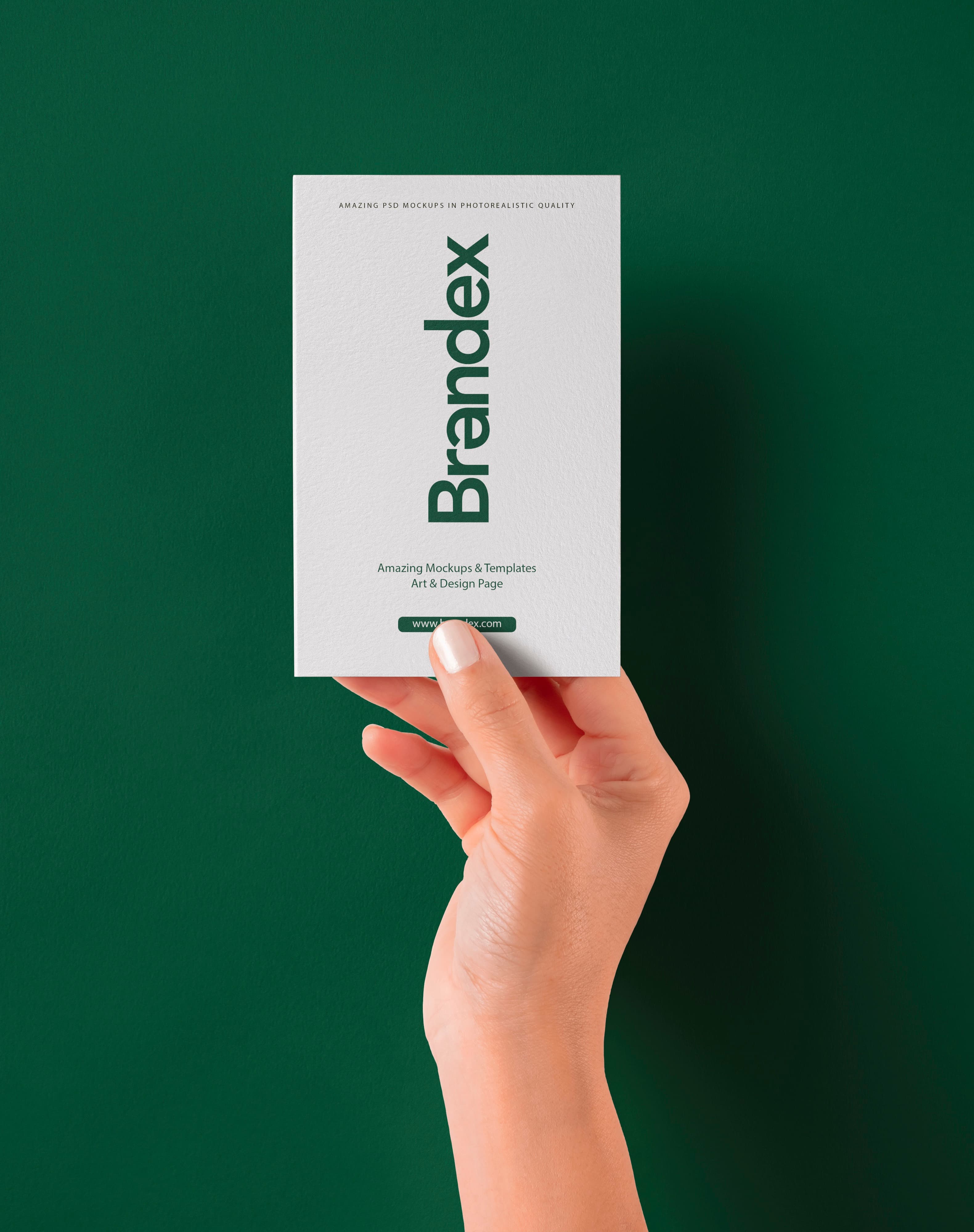 Brandex Card Mockup 2 PSD Download