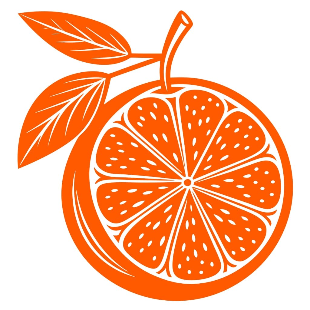 Bright Orange Fruit Icon Design