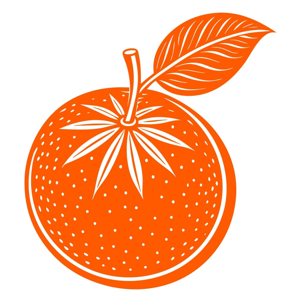 Minimal Orange Fruit Vector Icon