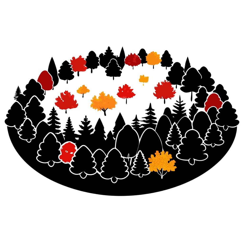 Autumn Forest Aerial View Vector