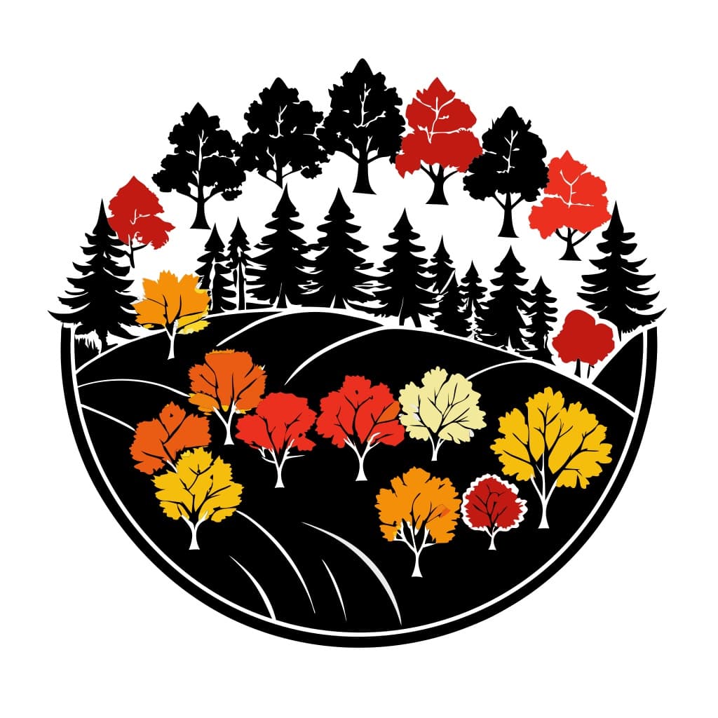 Autumn Forest Aerial Vector Illustration