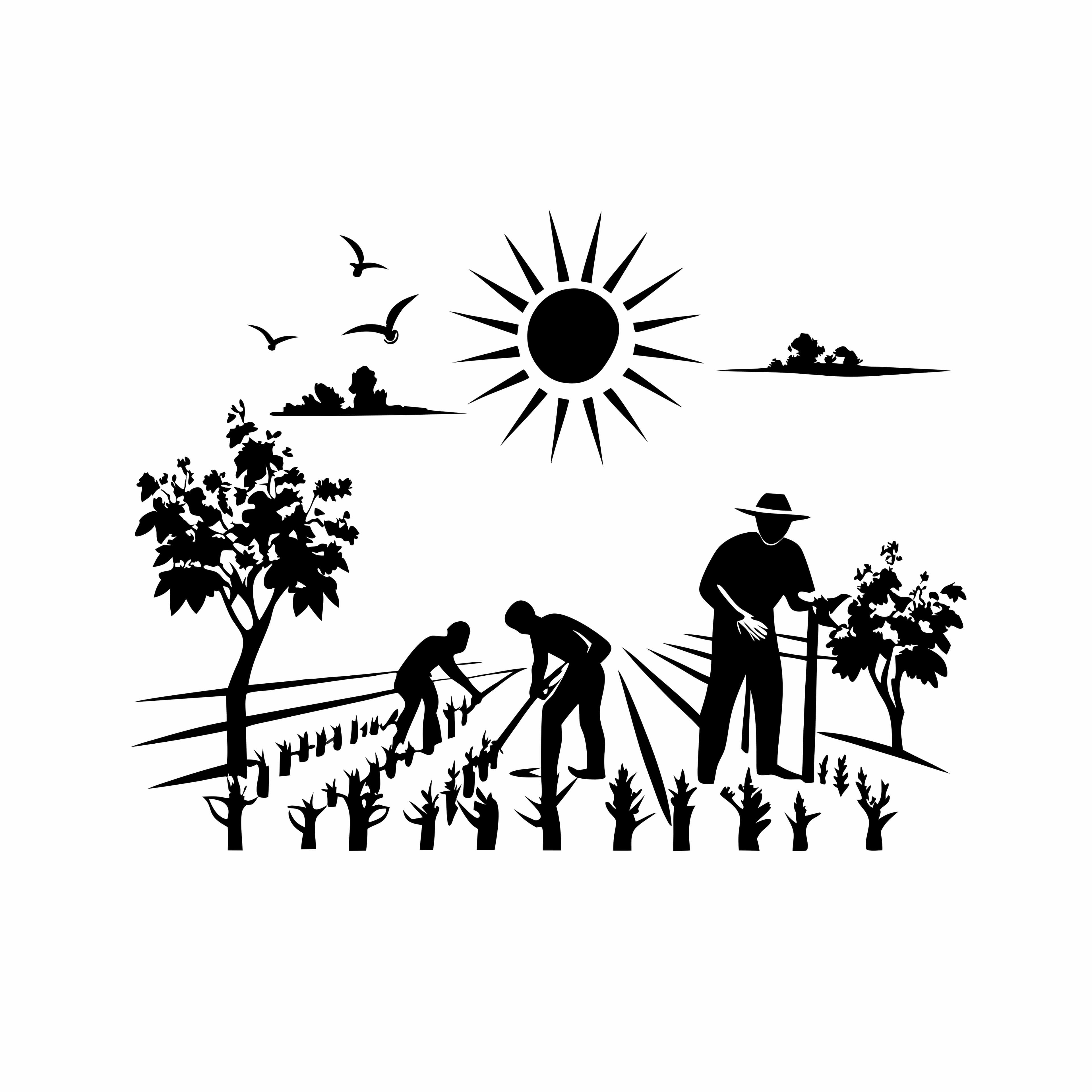 Organic Vineyard Landscape Vector Illustration