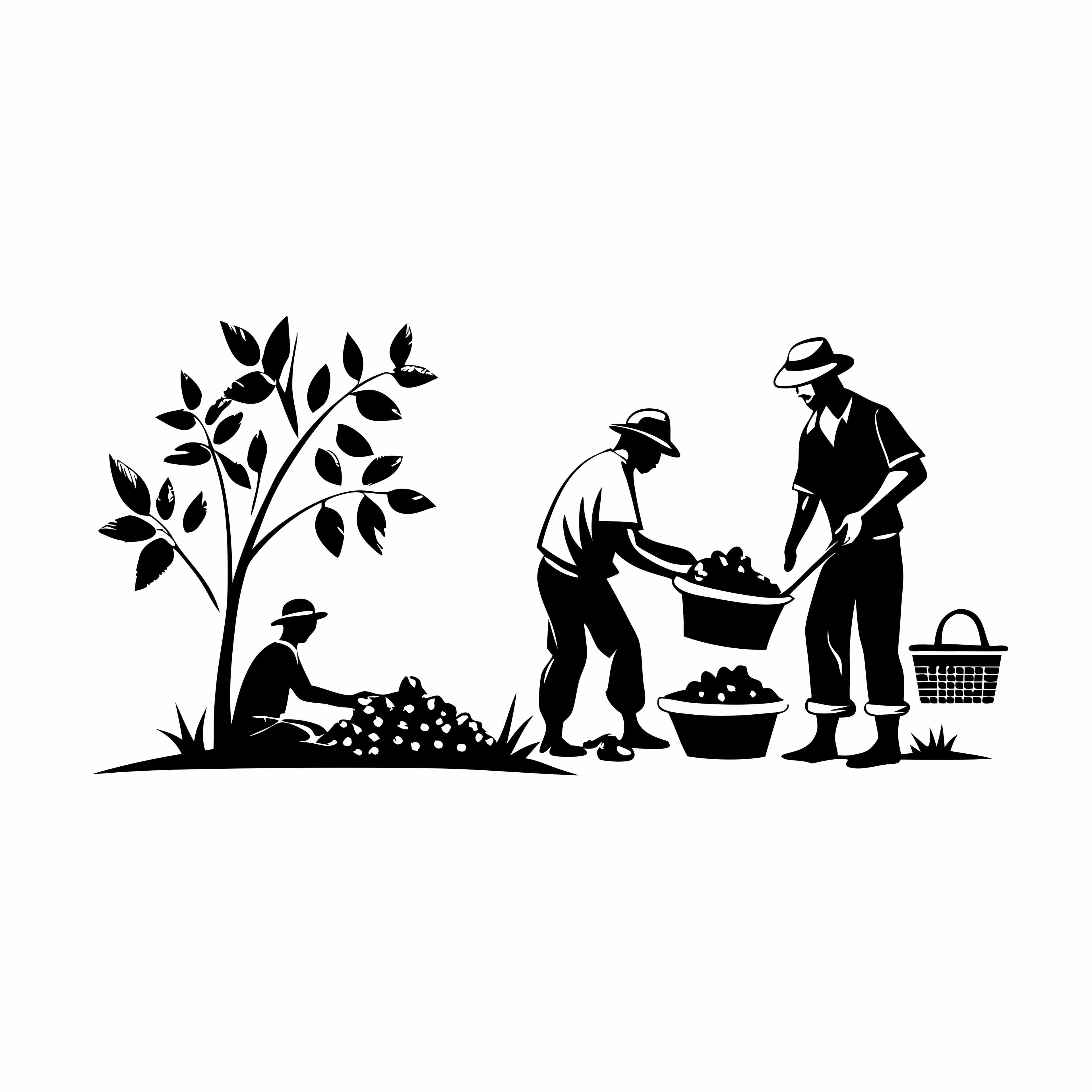 Sustainable Coffee Farm Vector Graphic