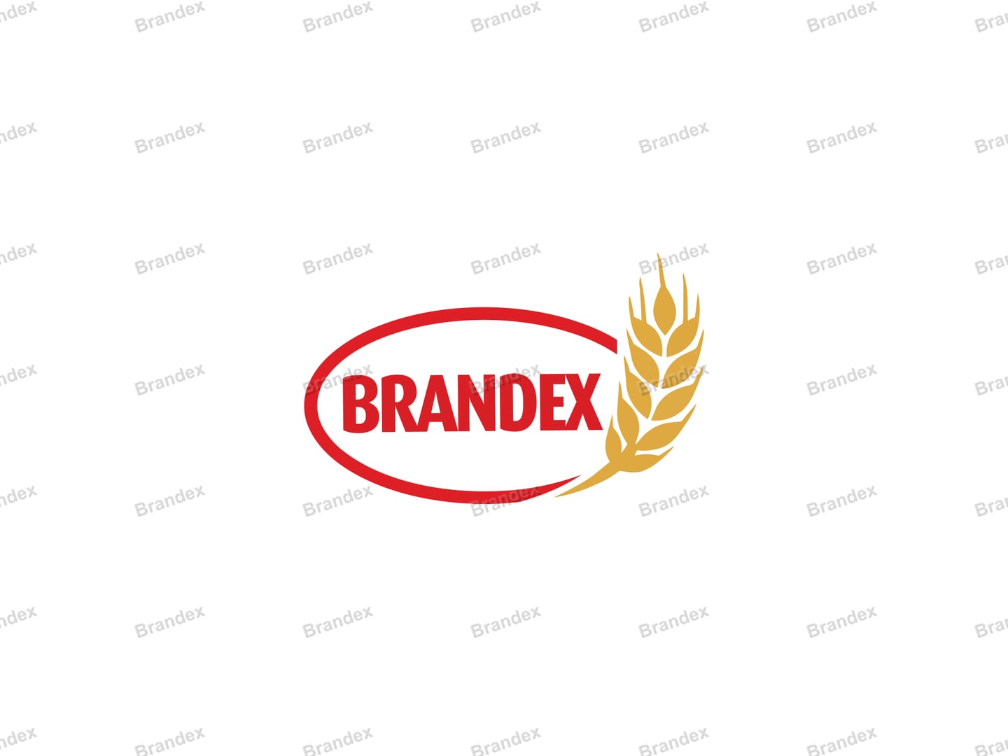 Distinct Banner Logo Template