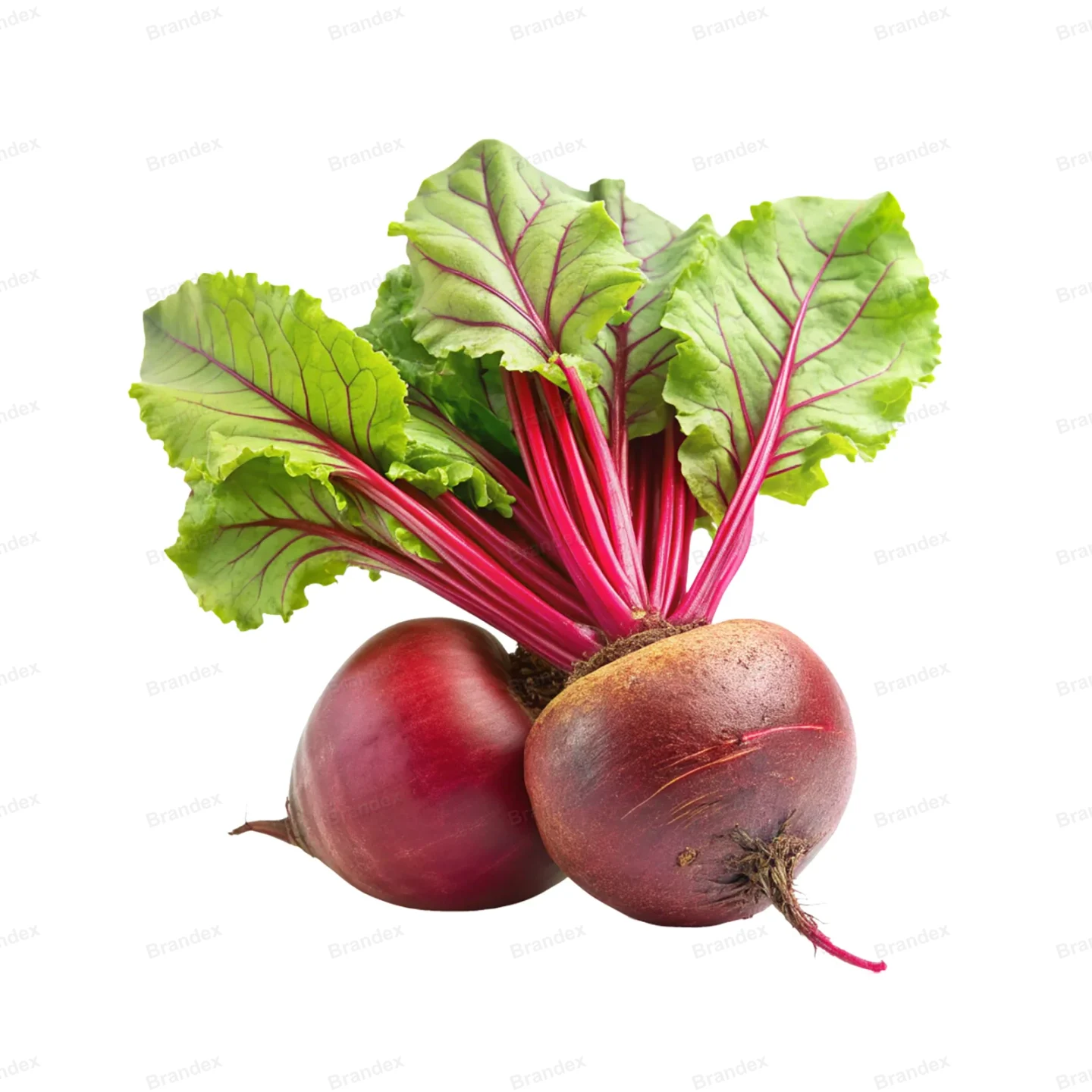 Fresh Beetroot Isolated PSD with High-Resolution Texture