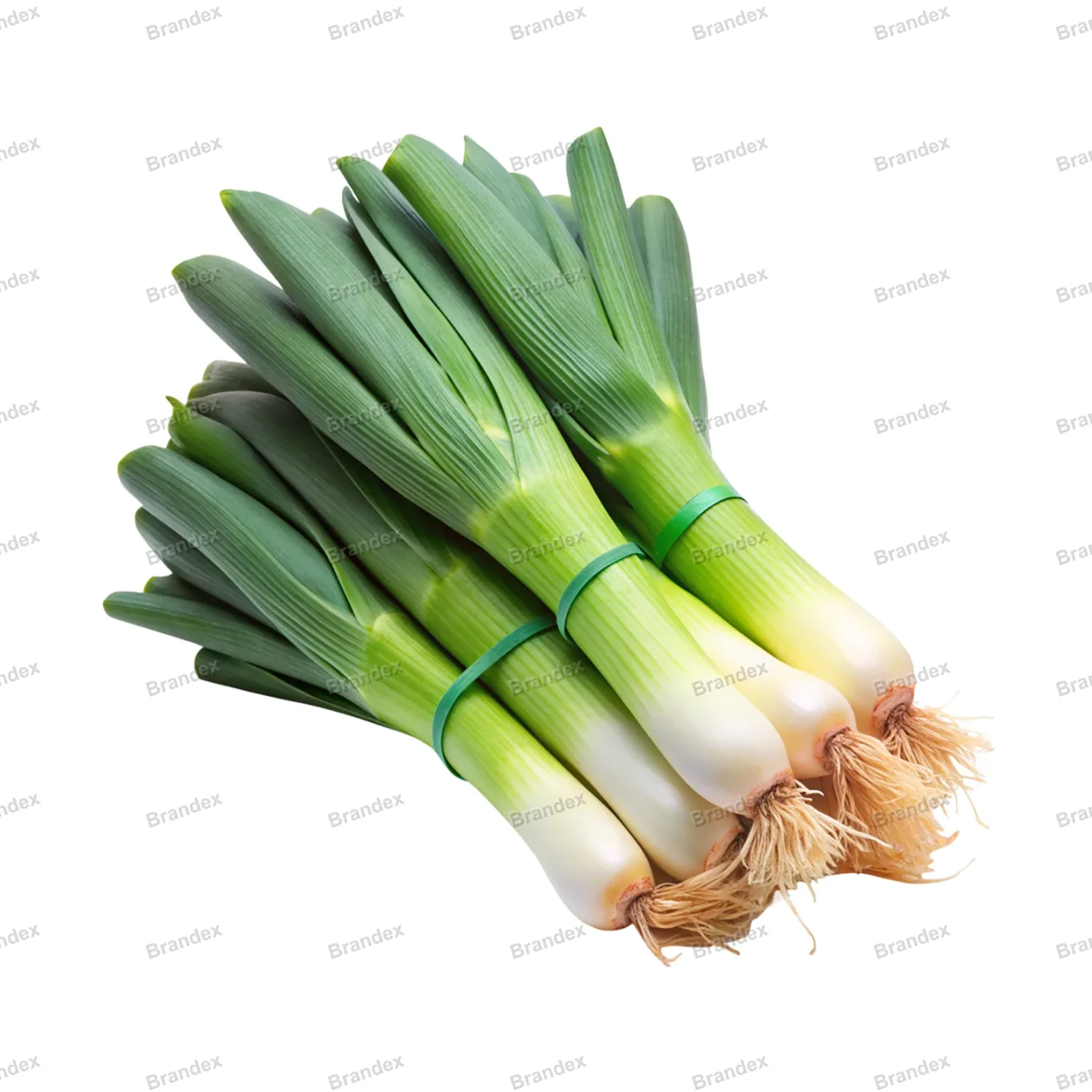 Fresh Organic Leeks - Isolated PSD on Transparent Background