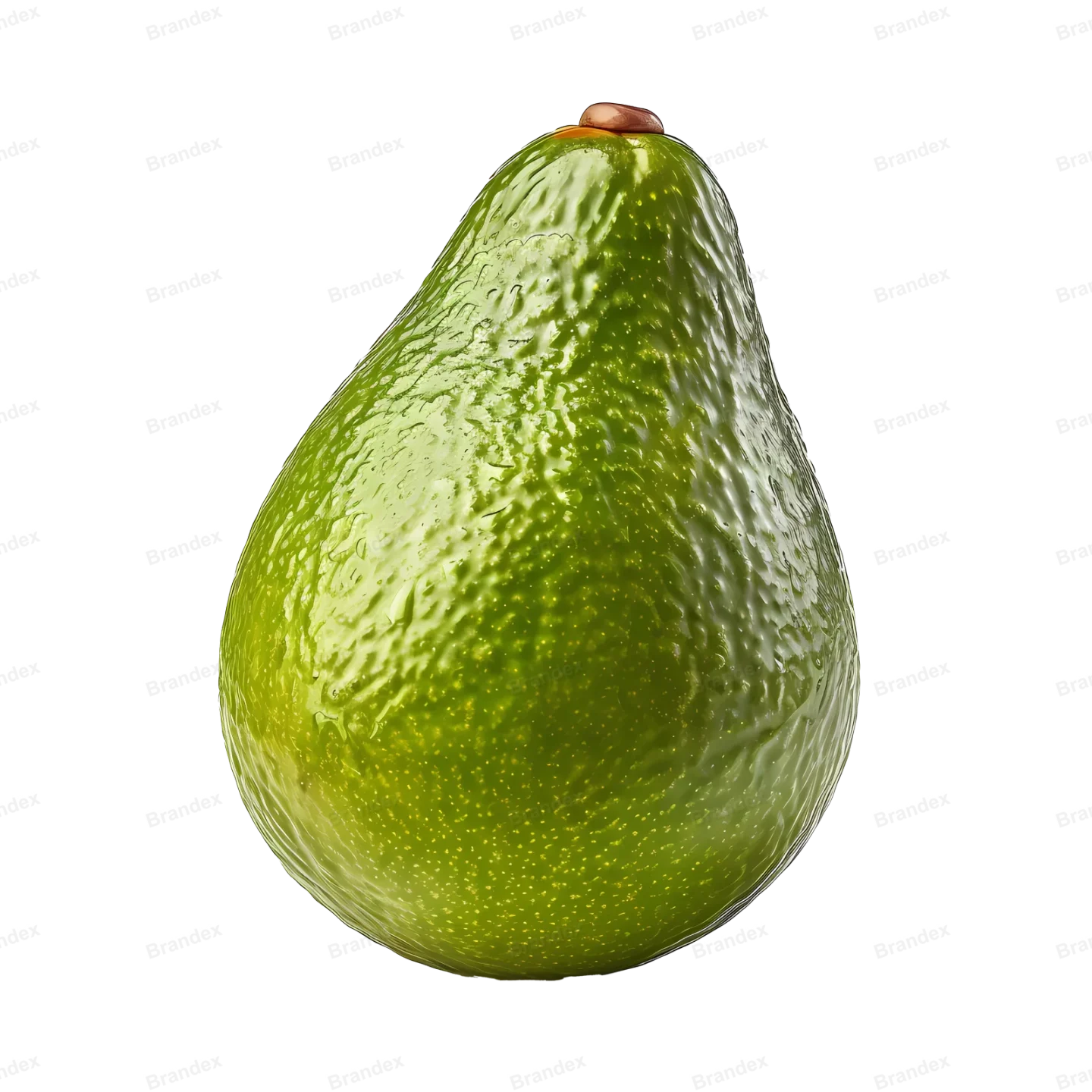 Fresh Avocado Cut - Isolated PSD with Texture