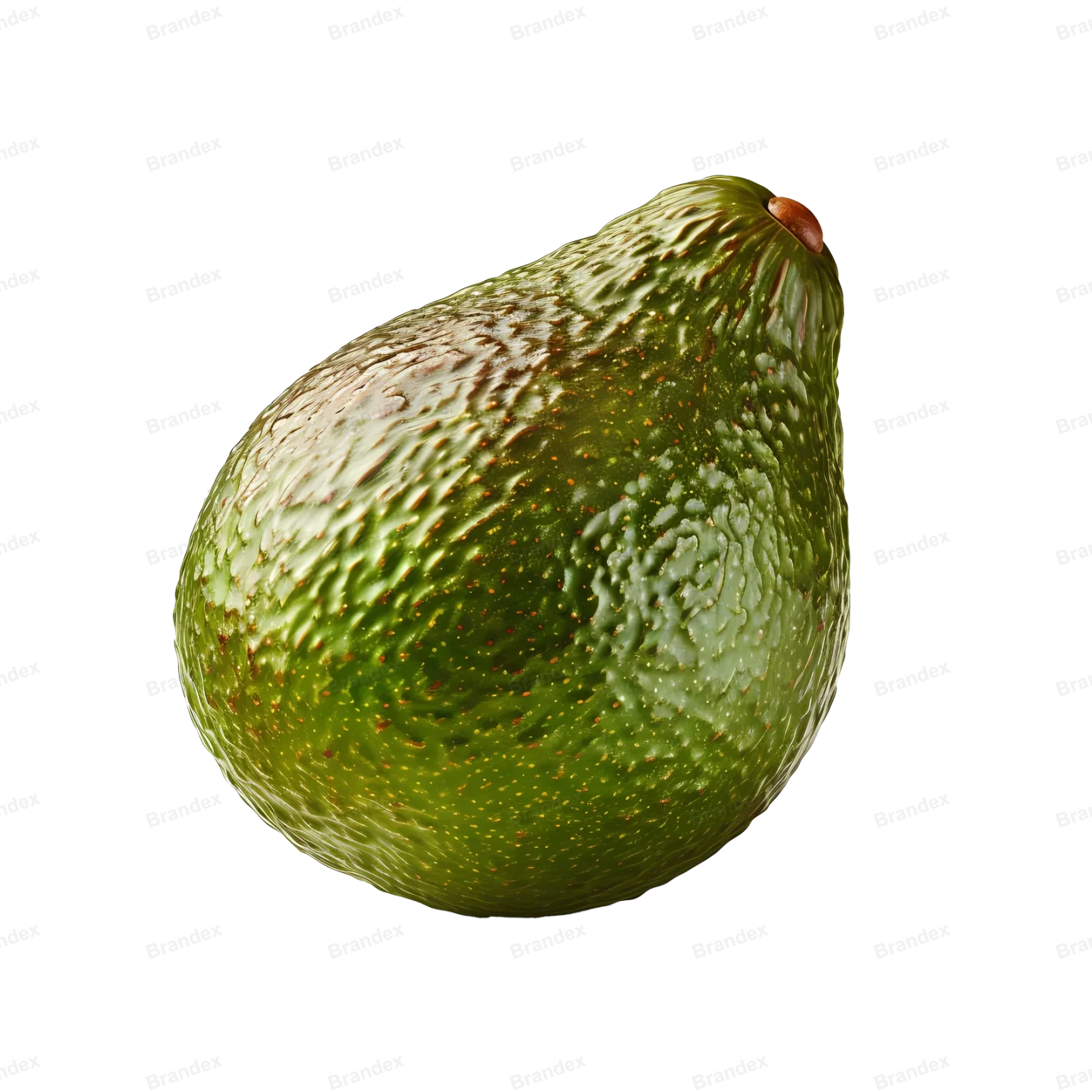 Fresh Avocado Slice - Isolated PSD Cutout (12)