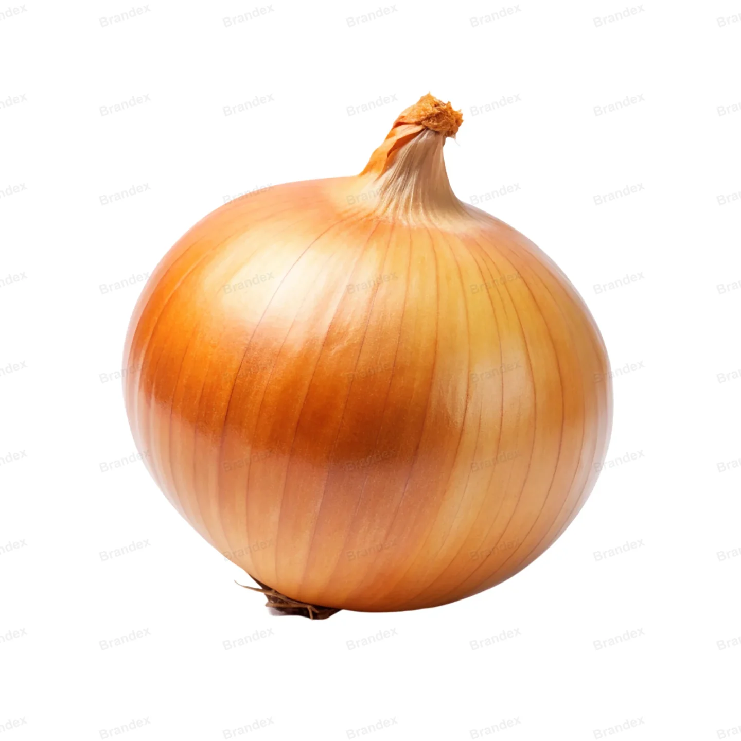 Fresh Onion Isolated PSD with High-Resolution Texture