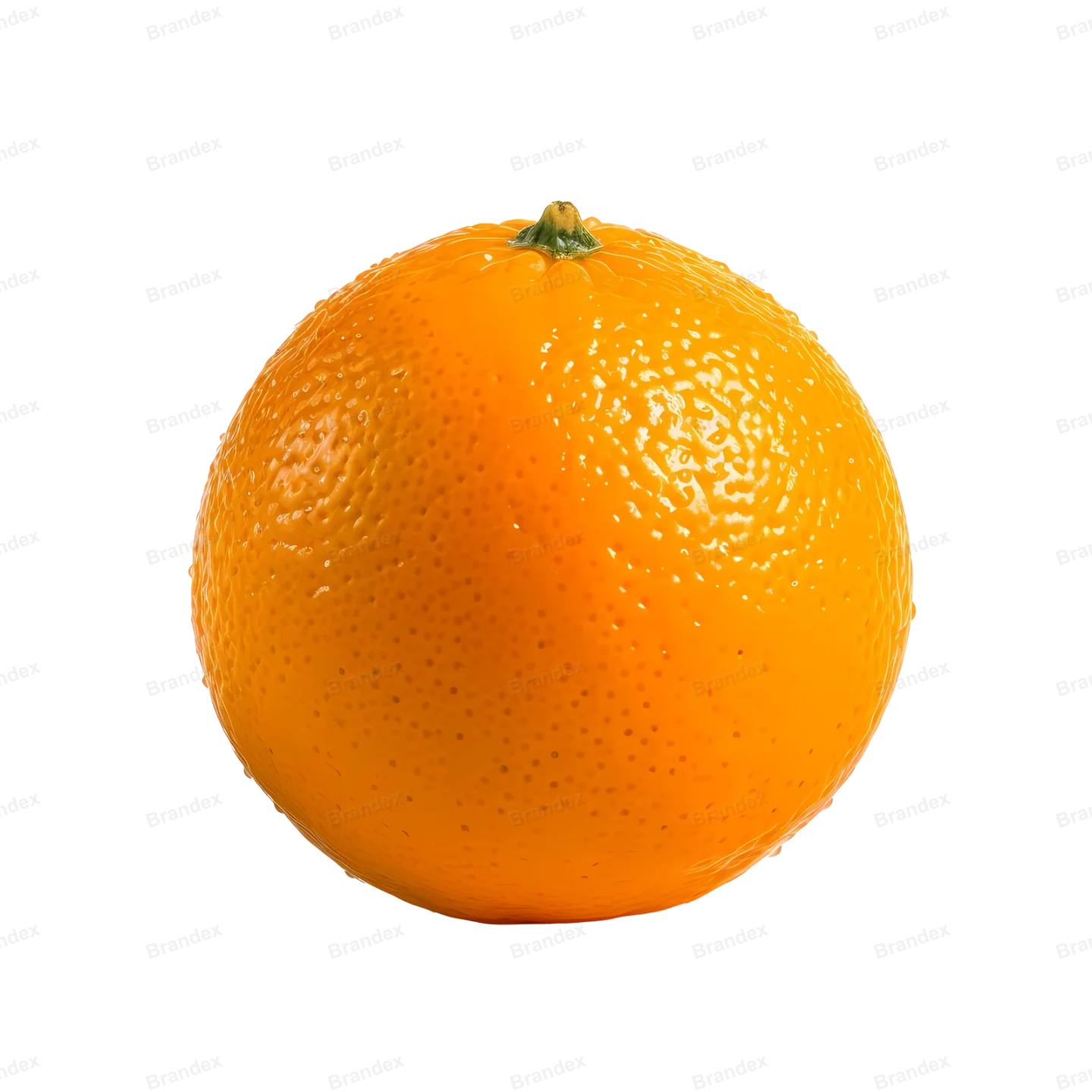 Fresh Orange Fruit Slice - Isolated PSD (3)