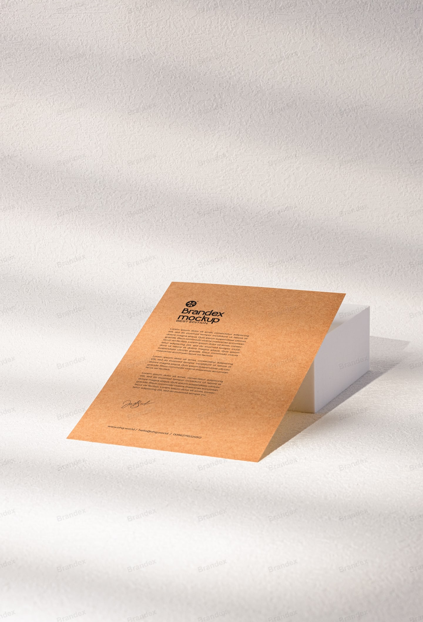 Brown Kraft Paper Flyer Mockup with Minimal Shadow Scene