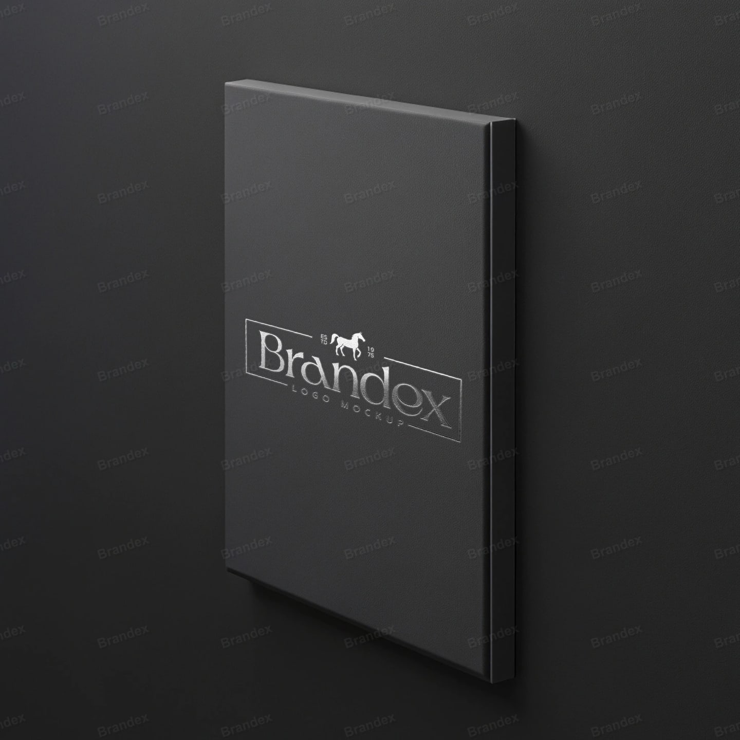 Black Canvas Texture Silver Logo Branding Mockup
