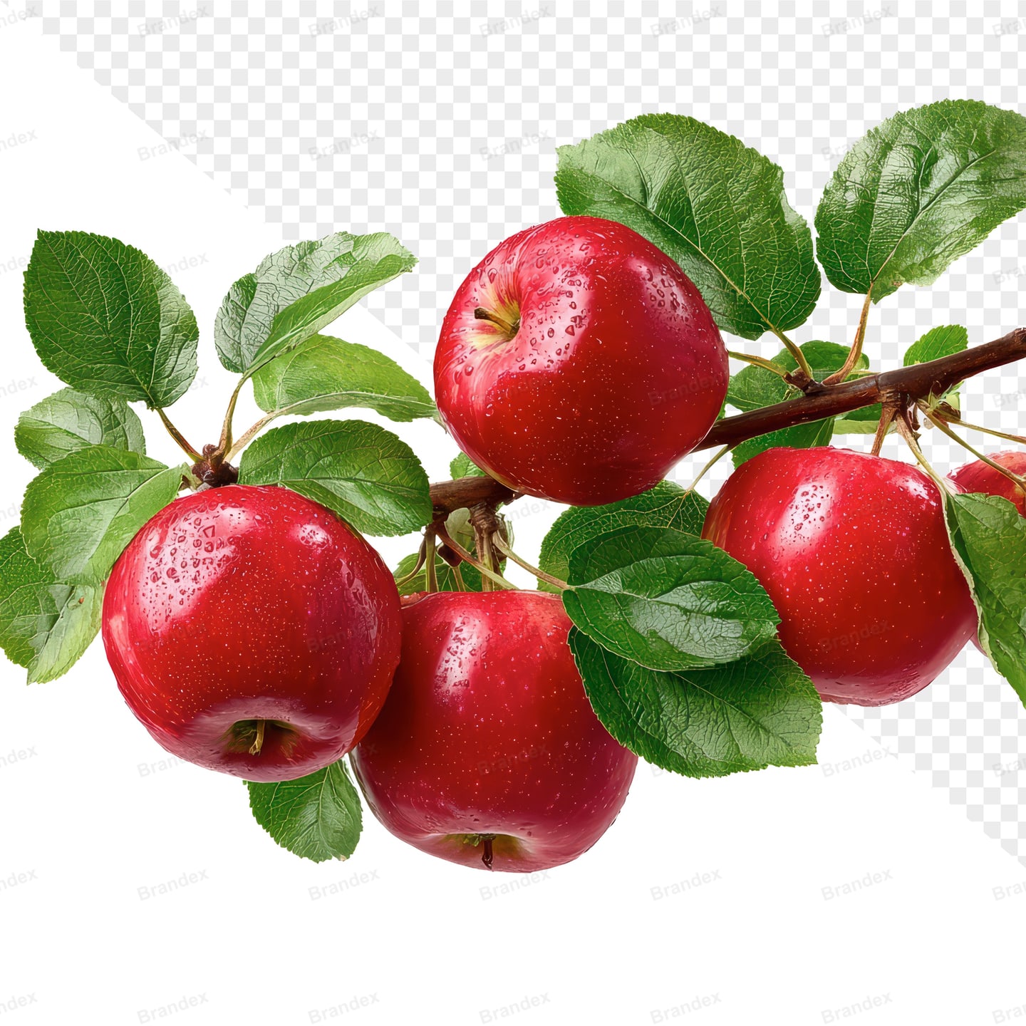 Realistic Red Apple Mockup PSD for Professional Presentations