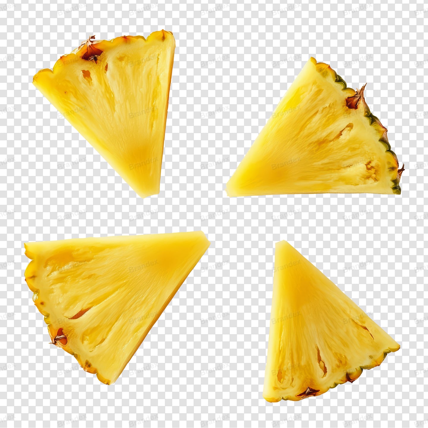 Realistic Pineapple Slices